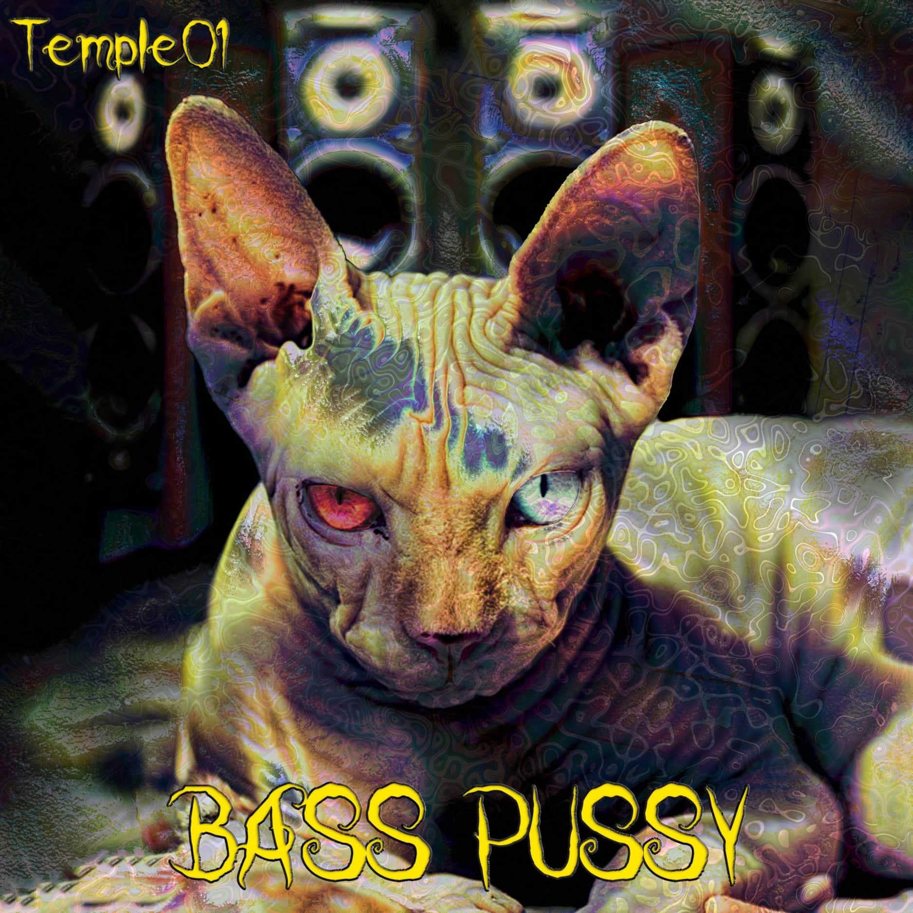 temple01 bass pussy