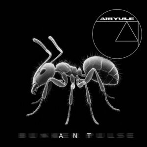 AIRYULE - ANT