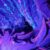 Profile picture of Introspective Sense